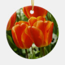 Pesquisar por fundo colorido ornamentos Cor