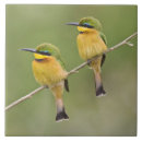 Pesquisar por tanzania azulejos Pássaro