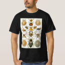Pesquisar por aracnídeos camisetas Aranhas