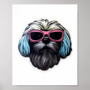 Pesquisar por cão do apso de lhasa pôsteres pósteres Cãozinho