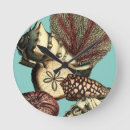 Pesquisar por shells pôsteres pósteres Peixe estrela