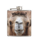 Pesquisar por doméstico cantis Animal