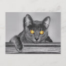 Pesquisar por reflexivo cartoes postais Reflexiva