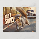 Pesquisar por esquilos loucos cartoes postais Engraçado