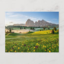 Pesquisar por trentin cartoes postais Itália