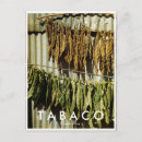 Pesquisar por tabaco cartoes convites Cigarro