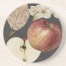 Pesquisar por estudo porta copos Carvão