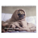 Pesquisar por pug calendarios Cachorrinho