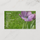 Pesquisar por tulipas roxas cartao de visita Flores
