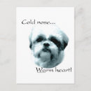 Pesquisar por nose cartoes postais Cão
