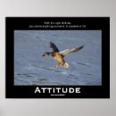 Pesquisar por attitude pôsteres pósteres Humor