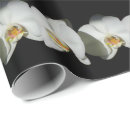 Pesquisar por orquídea branca papel de presente Flor