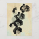 Pesquisar por orquídeas cartoes postais Flores