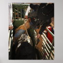 Pesquisar por touro rodeio pôsteres pósteres Eua