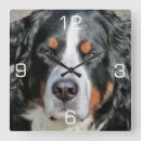Pesquisar por foto do cão relogios de parede Qualquer pessoa