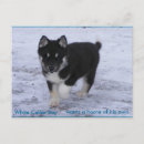 Pesquisar por akitas cartoes postais Cachorrinho
