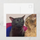 Pesquisar por porte postal preto Amigo (a)