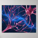 Pesquisar por sinapse pôsteres pósteres Conexão