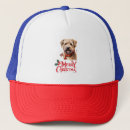 Pesquisar por amante de bull terrier bones Weimaraner