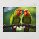 Pesquisar por do amazonas cartoes postais Natureza