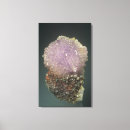 Pesquisar por mineralogia pôsteres pósteres Ciências naturais