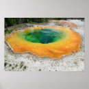 Pesquisar por corriola Yellowstone