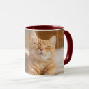 Pesquisar por gatinho do gengibre canecas Gatinhos