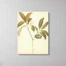 Pesquisar por motivo impressão de canvas Padrão