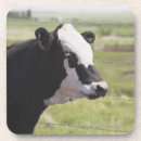 Pesquisar por câmera porta copos Agricultura