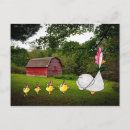 Pesquisar por galinha e pintinhos cartoes postais Frango