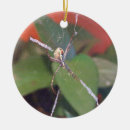 Pesquisar por aracnídeos ornamentos Aranha