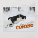 Pesquisar por fundo do gato cartoes postais Qualquer pessoa