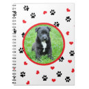 Pesquisar por persegue Para pets