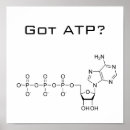 Pesquisar por bioquímica pôsteres pósteres Ciência