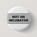 Pesquisar por estados botons Direitos das mulheres