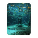 Pesquisar por nassau bahamas imas Ilha