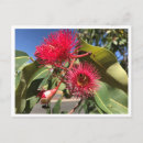 Pesquisar por goma cartoes postais Flores