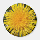 Pesquisar por dente feliz imas Amarelo