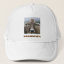 Pesquisar por brown bones Animal