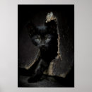 Pesquisar por olhos verdes gato preto pôsteres pósteres Gatinho
