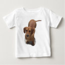 Pesquisar por dachshund marrom camisetas Fofofo