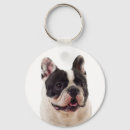 Pesquisar por frenchie chaveiros Cachorrinho