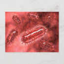 Pesquisar por bactéria cartoes postais Repetição