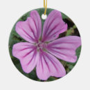 Pesquisar por selvagem ornamentos Bonito