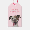Pesquisar por material de bull terrier Para todos