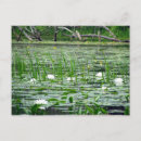 Pesquisar por mentirosos cartoes postais Água