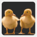 Pesquisar por patinhas adesivos Natureza