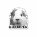 Pesquisar por foto animal adesivos Para pets