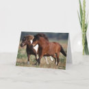 Pesquisar por pantanal cartoes Pônei do pantanal