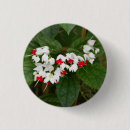 Pesquisar por videira botons Flor